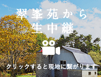 翠峯苑から生中継